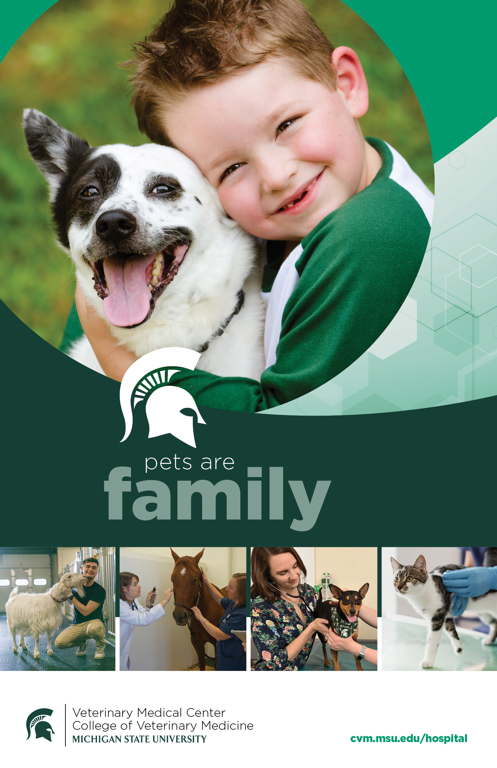MSU College of Veterinary