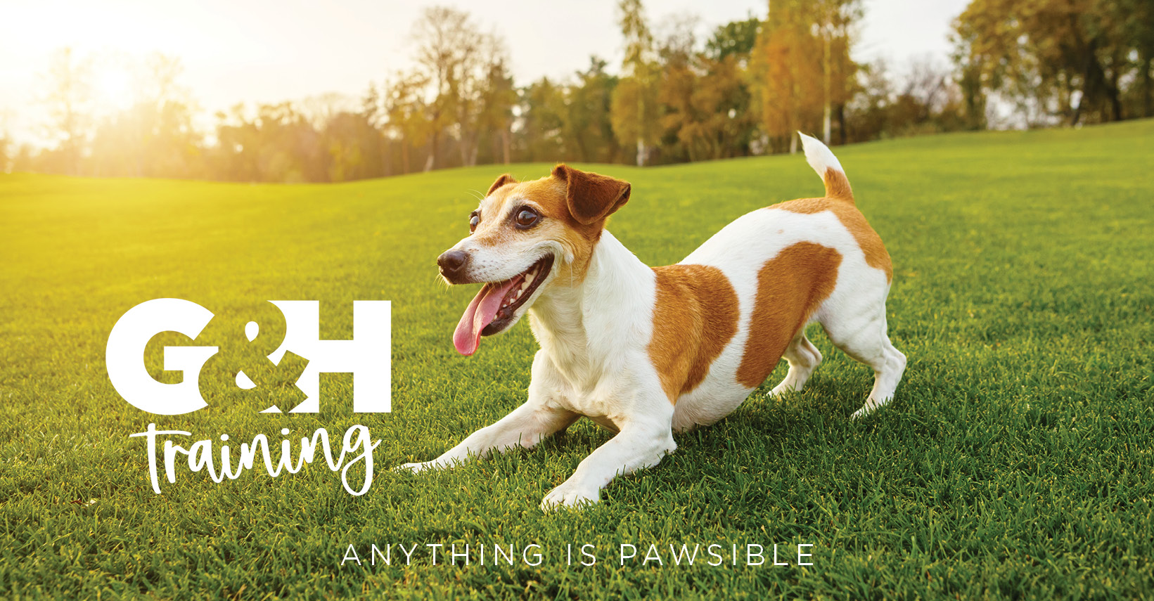 Logo design and social media promo